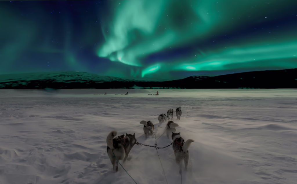 Dog sledding at night with the northern lights in the sky
