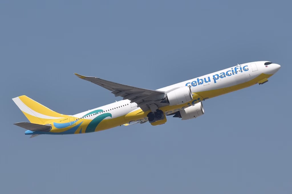 cebu air cabin and luggage rules