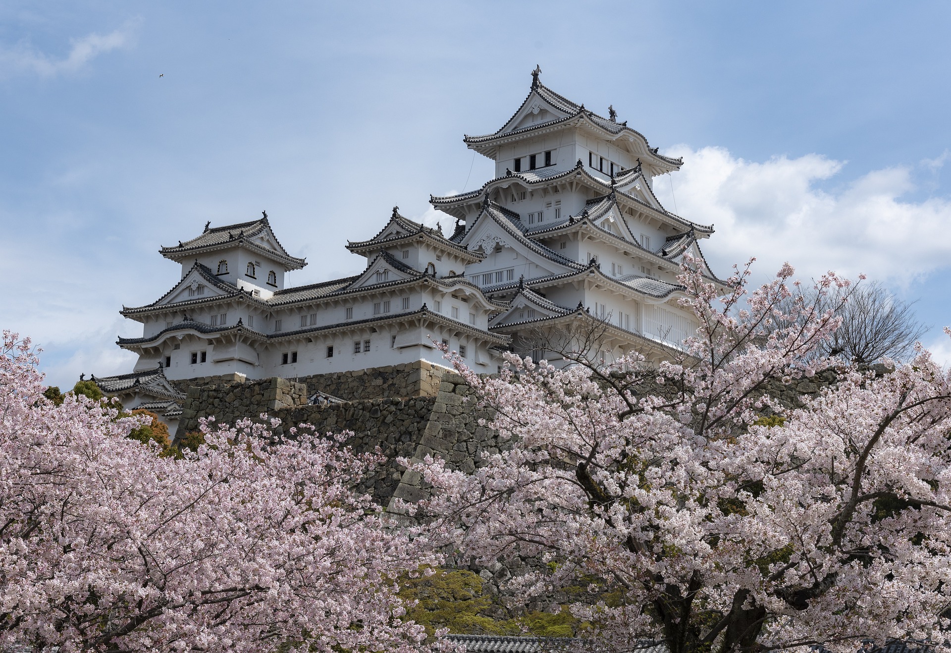 Himeji Castle cherry blossoms for a crowd-smart Japan spring itinerary