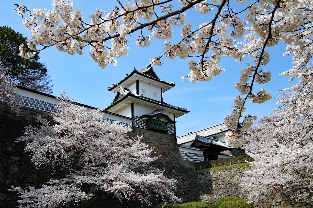 Kanazawa as a Japan cherry blossom alternative with historic streets and spring bloom